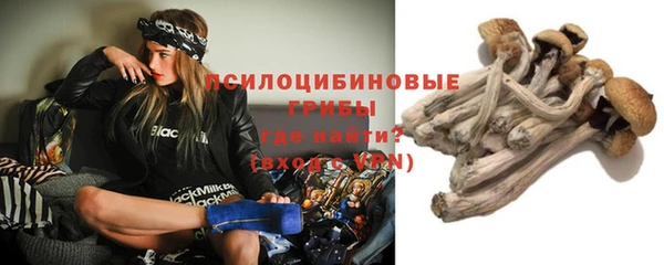 твердый Алзамай