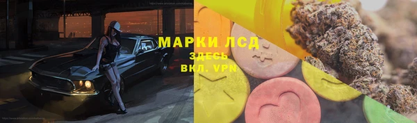 твердый Алзамай